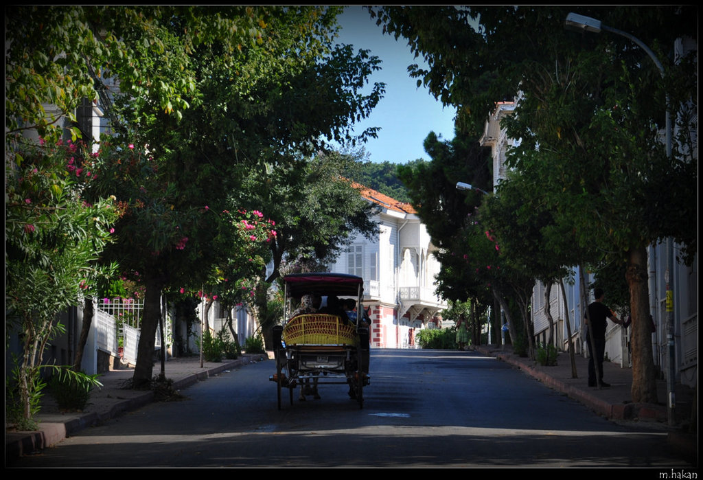 Büyükada/ Istanbul..