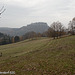 SDC14991