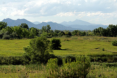 Two Ponds National Wildlife Refuge