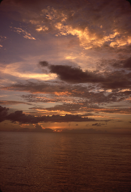 Sanibel, another day