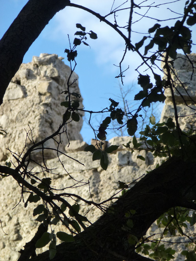 20120830 Fee Tornac Lacan (anduze) (61)