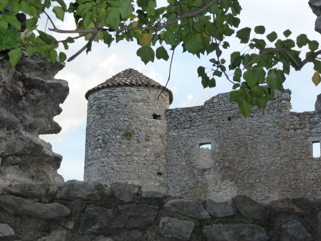 20120830 Fee Tornac Lacan (anduze) (70)