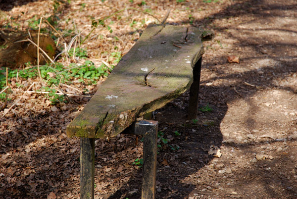 Bench