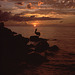 A pelican sunset on Sanibel