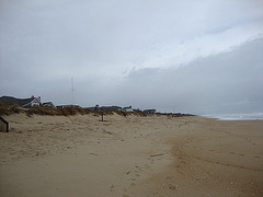 DSC00463