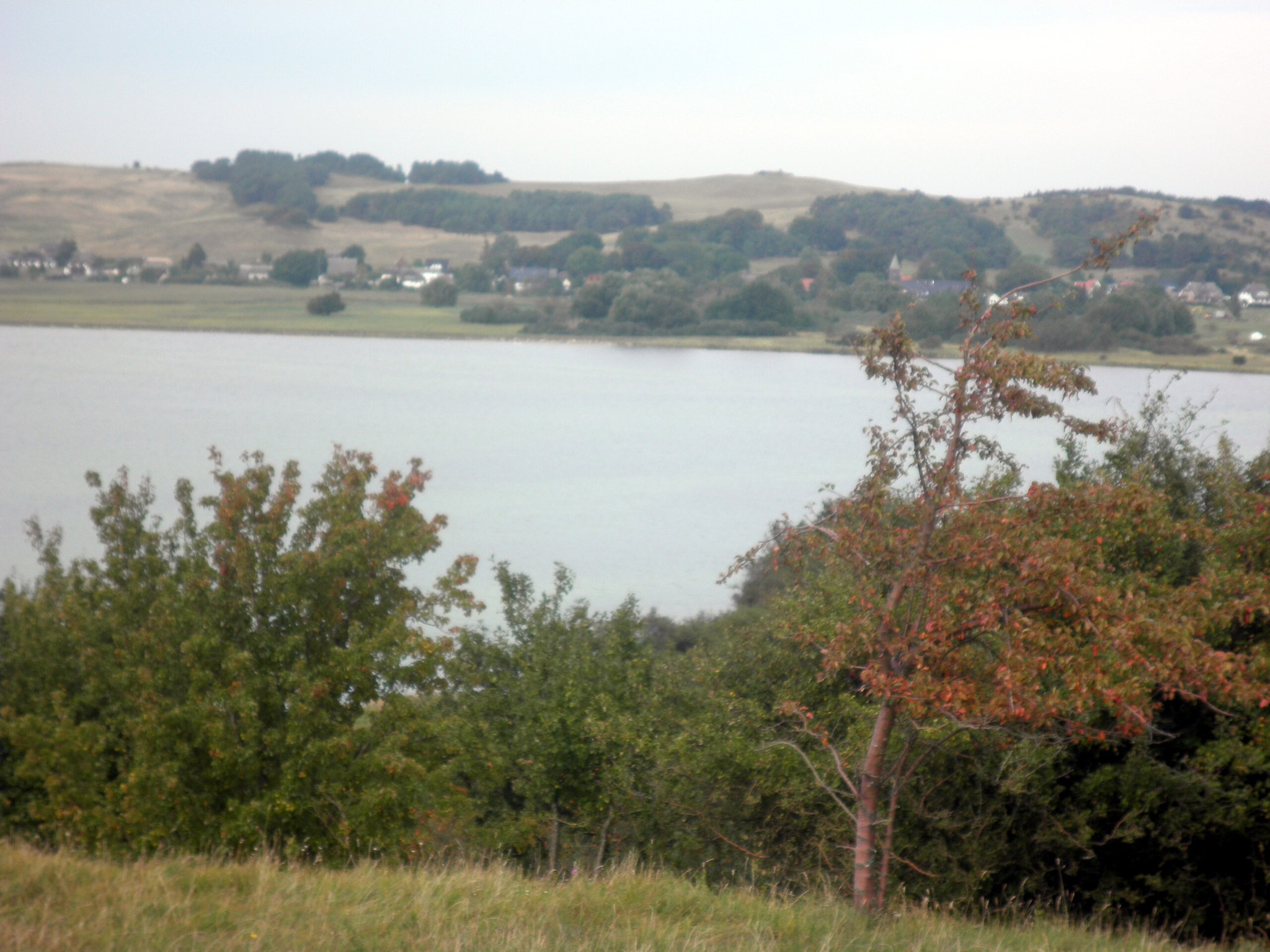 an der Südspitze Rügens