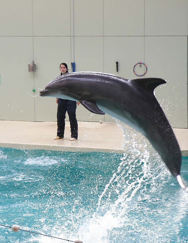 Zoo Münster