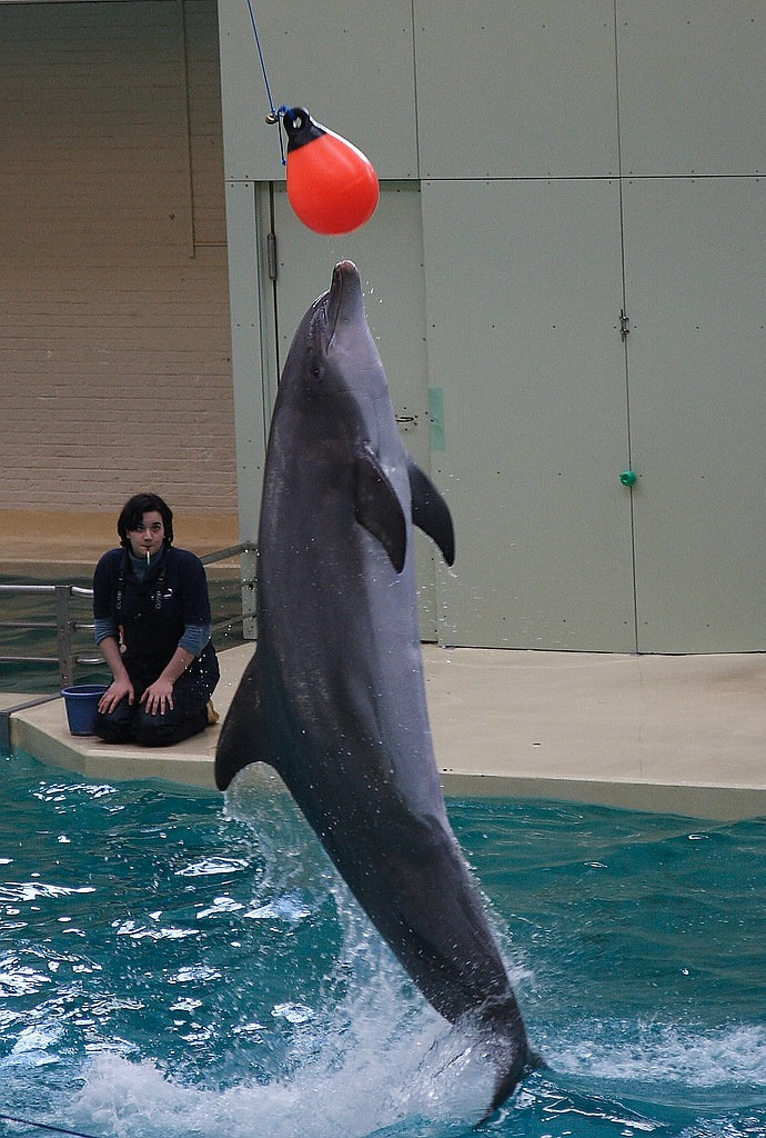 Zoo Münster
