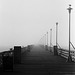 pier in fog with seagulls