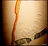 Downlighters series - engaging the viewer