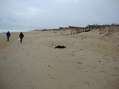 DSC00461