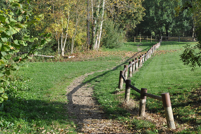 Bois de COOLUS Marne