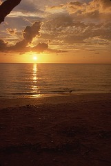 Sanibel beach