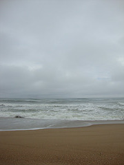 DSC00460
