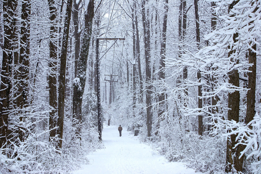 A Walk in the Snow