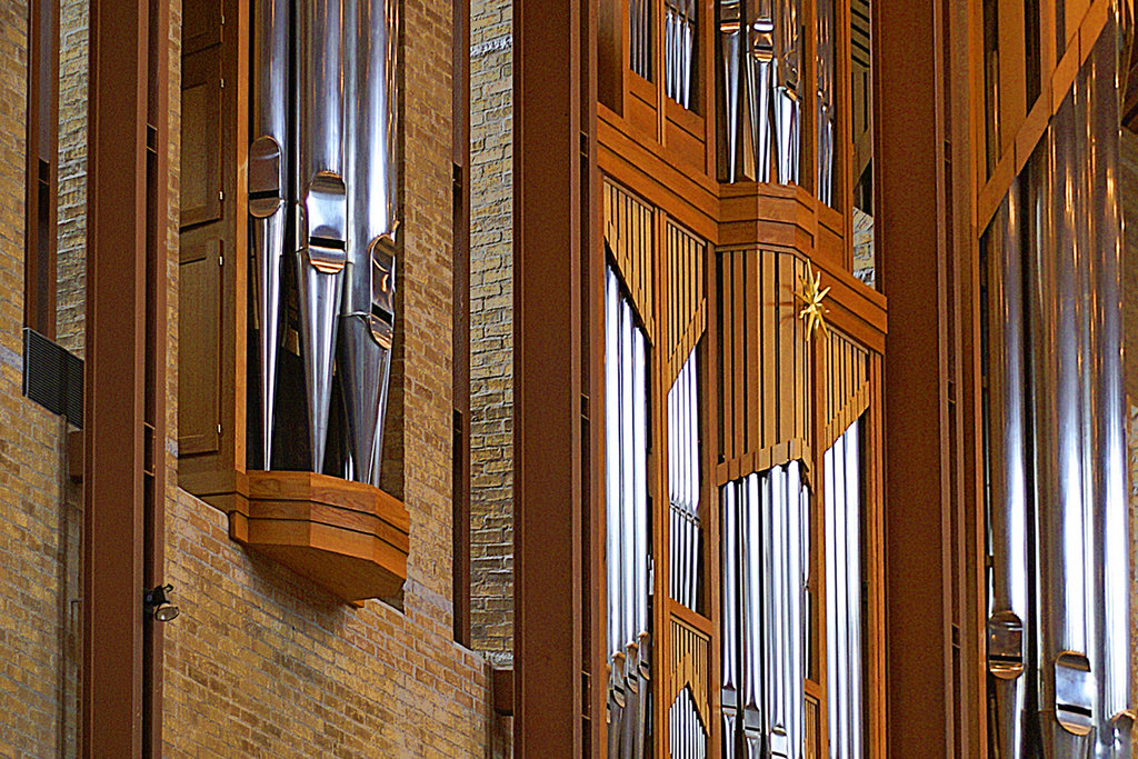 Organ Pipes