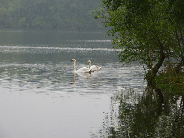 promenade matinale...