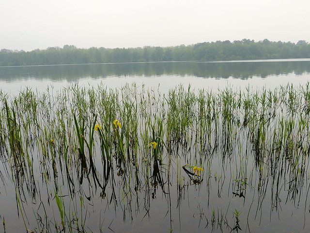 lac en Sologne...