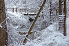 The Footbridge Under Snow