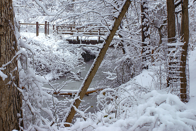 The Footbridge Under Snow