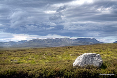 Dava Moor on a June afternoon 3674962456 o