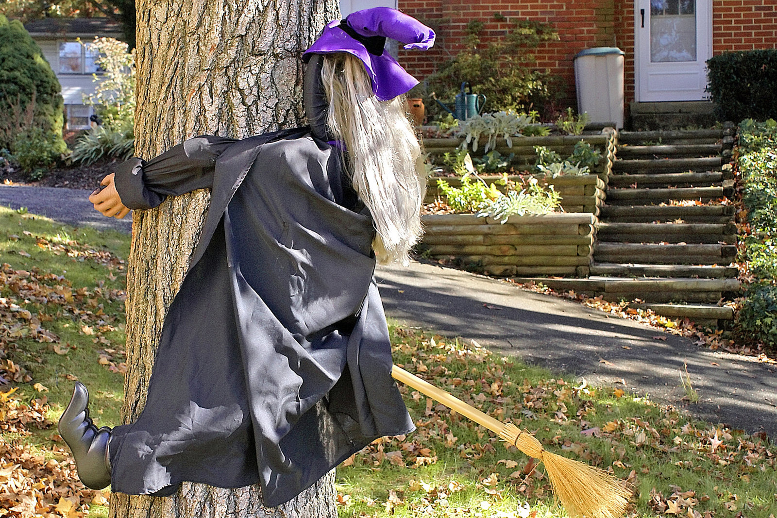 Mrs Fikes' Witch