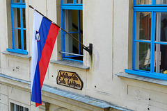 Slovenian flag