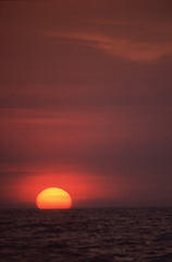 Captiva sunset, vertical