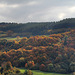 Automne sur l'Ubac