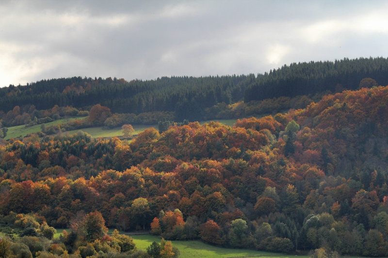 Automne sur l'Ubac