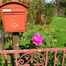 Postbox with roses