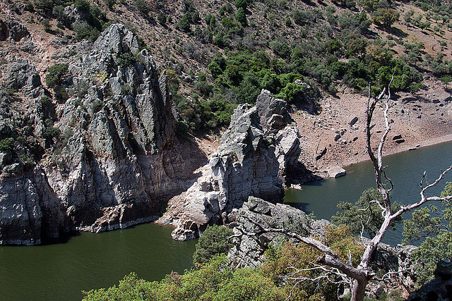 20120518 0414RAw [E] Rio Tajo, Monfragüe