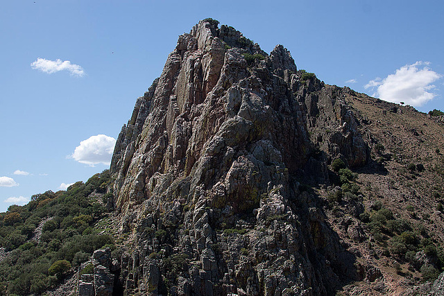 20120518 0415RAw [E] Geierfelsen am Rio Tajo, Monfragüe