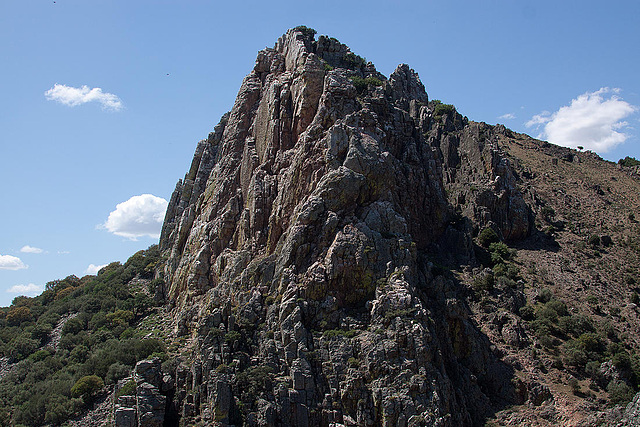 20120518 0416RAw (E) Geierfelsen am Rio Tajo, Monfragüe