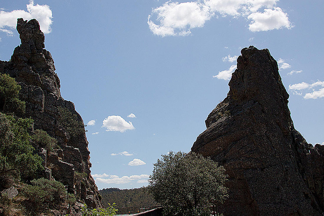 20120518 0418RAw [E] Geierfelsen am Rio Tajo, Monfragüe