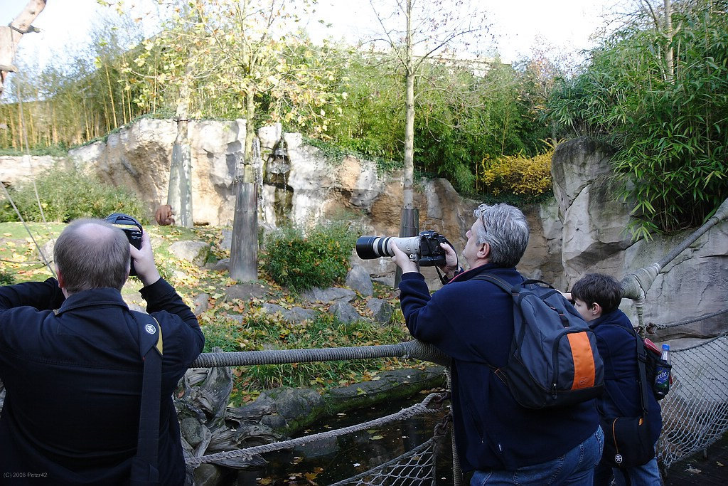 Zoo Münster