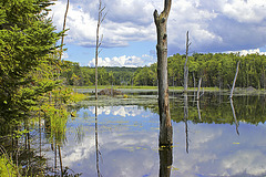 Beaver Lodge – Mount Orford Park, Québec