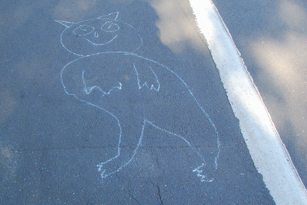 Chalked cat