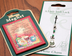 Blogversary Giveaway from Gaynor in Ireland - Magnet & Fob 7/2009