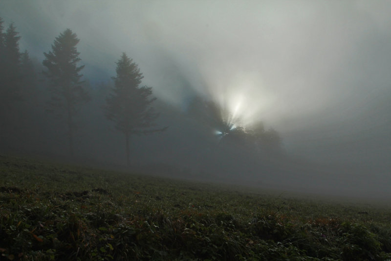 quand la nature se fait surnaturelle...