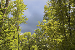 Rain Clouds – Mount Orford Park, Québec