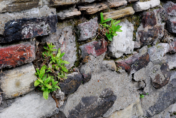 Canalside wall