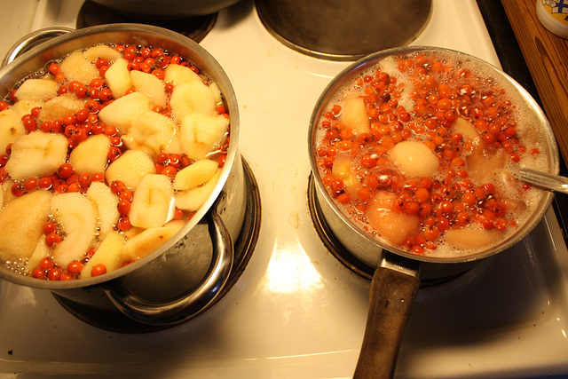 Rowanberry-apple jam!