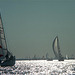 Big boats race in Long Island Sound