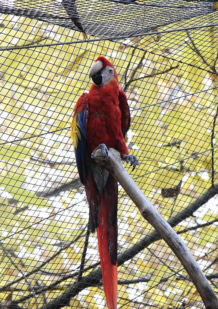 Zoo Münster