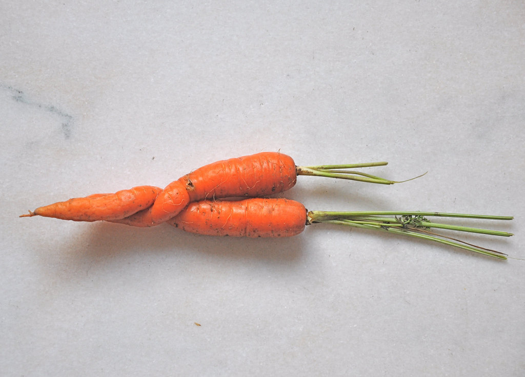 LES AMOURS DE CAROTTES