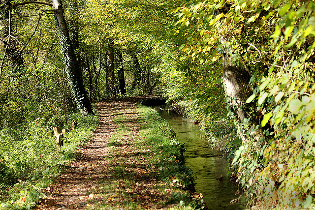 Herbstspaziergang