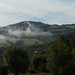 dans la brume !!