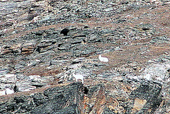 Day 13: Denali NP&P's raison d'etre
