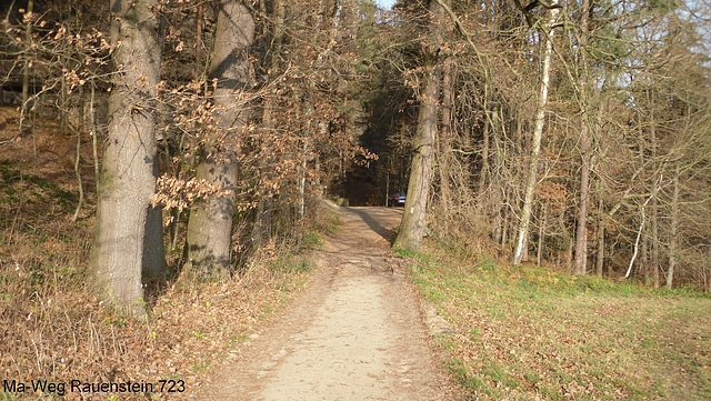 SDC15179